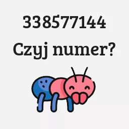 338577144