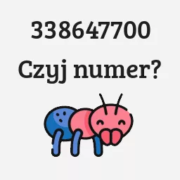 338647700