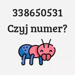 338650531