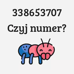 338653707