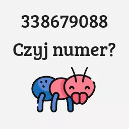 338679088