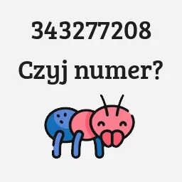 343277208