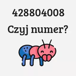 428804008