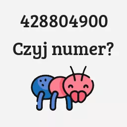 428804900