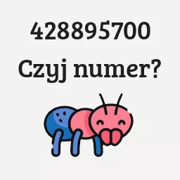 428895700