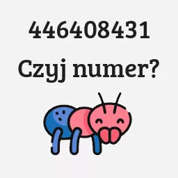 446408431