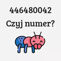 446480042