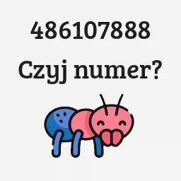 486107888