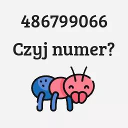 486799066