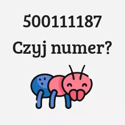 500111187