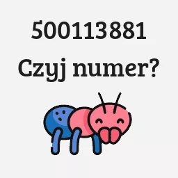 500113881