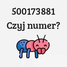 500173881