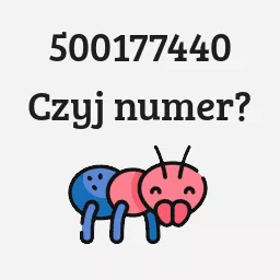 500177440