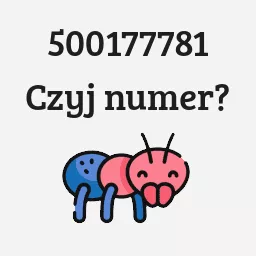 500177781