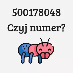 500178048