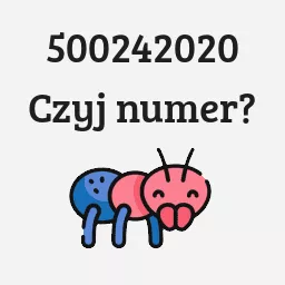 500242020