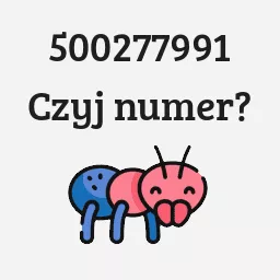 500277991