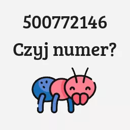 500772146