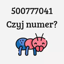 500777041