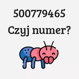 500779465