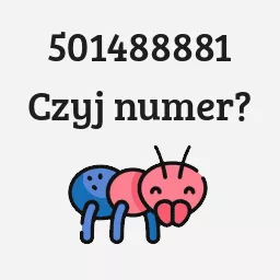 501488881