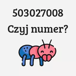 503027008