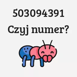 503094391