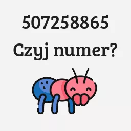 507258865