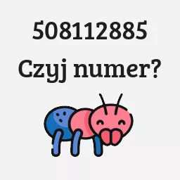 508112885