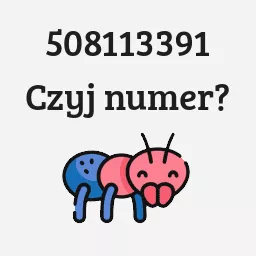 508113391