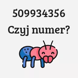 509934356