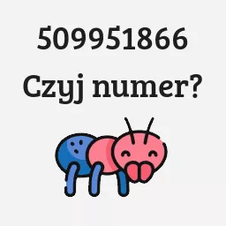 509951866