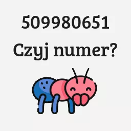 509980651