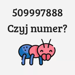 509997888