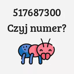 517687300