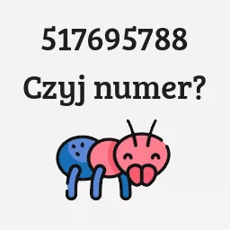 517695788