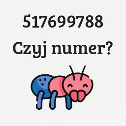 517699788