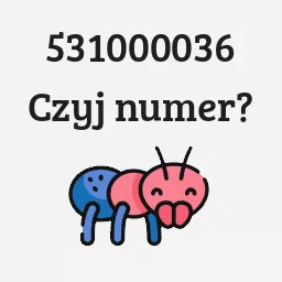 531000036