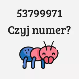 53799971