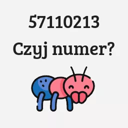 57110213