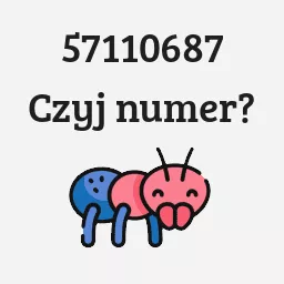 57110687