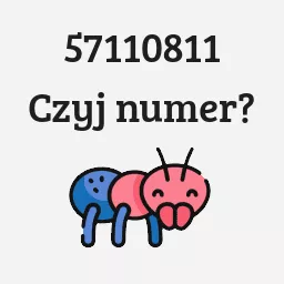 57110811