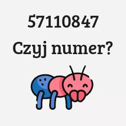 57110847