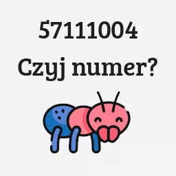 57111004