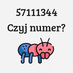 57111344