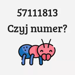 57111813