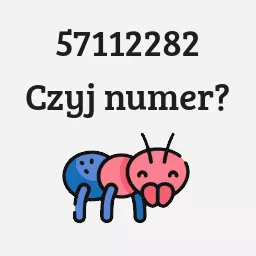 57112282