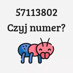 57113802