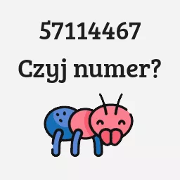 57114467