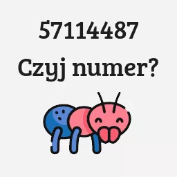 57114487